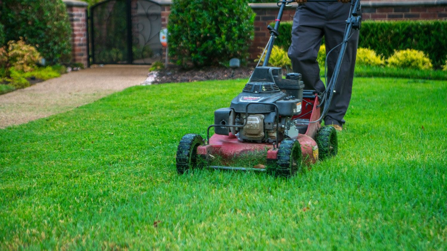 A Seasonal Guide to Lawn Mowing in North Texas