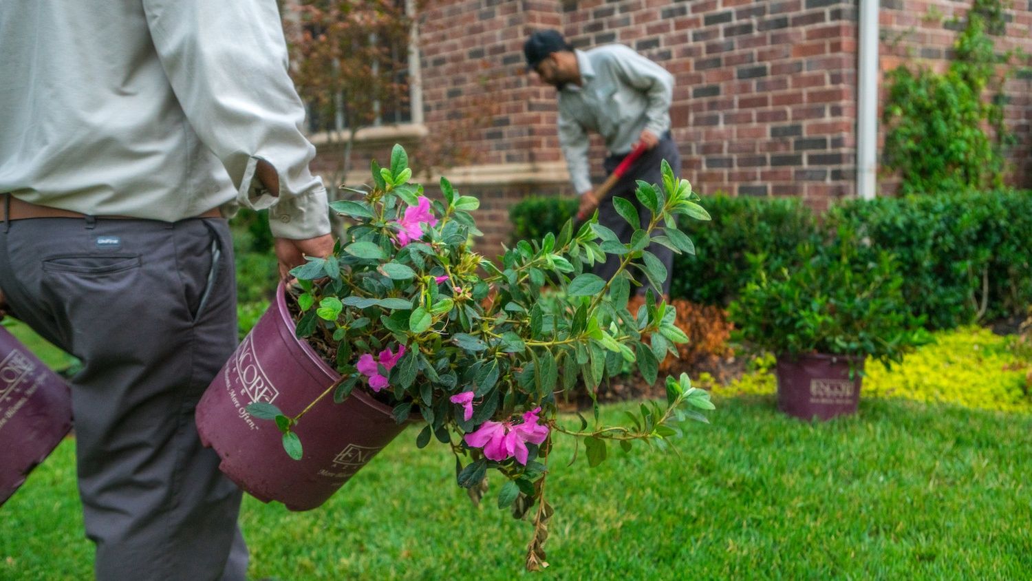 The Spring Landscape Maintenance Checklist for Your North Texas Home