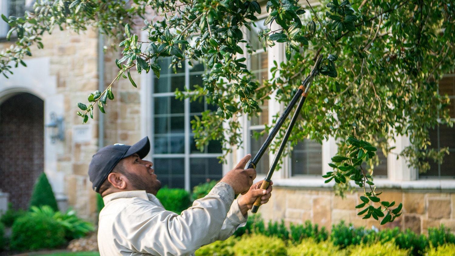 4 Winter Shrub Pruning Tips for North Texas Homeowners