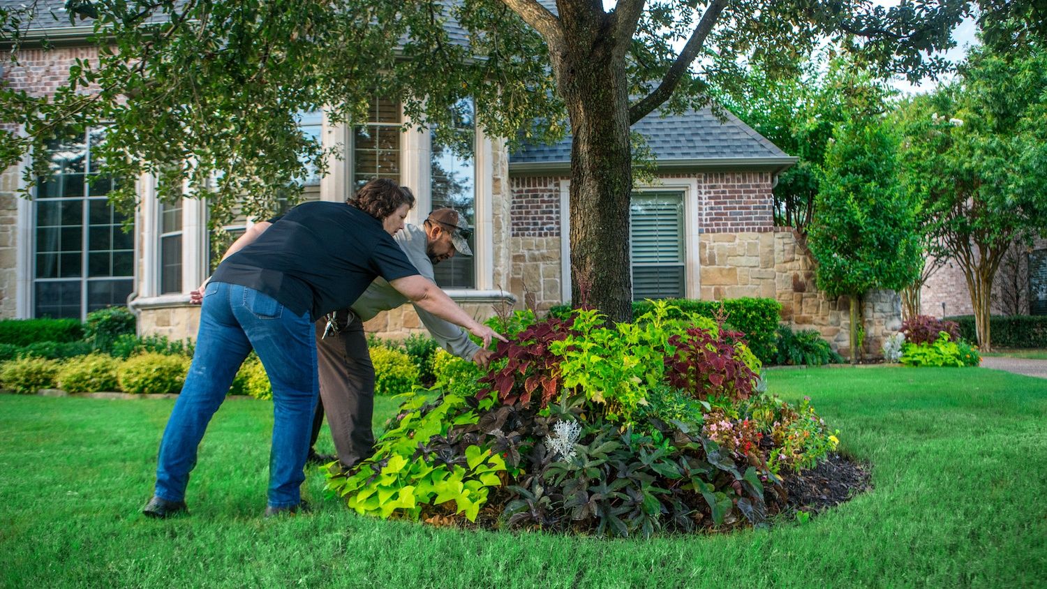 Tree and Shrub Care: The Who, What, Where, When, & Why in North TX