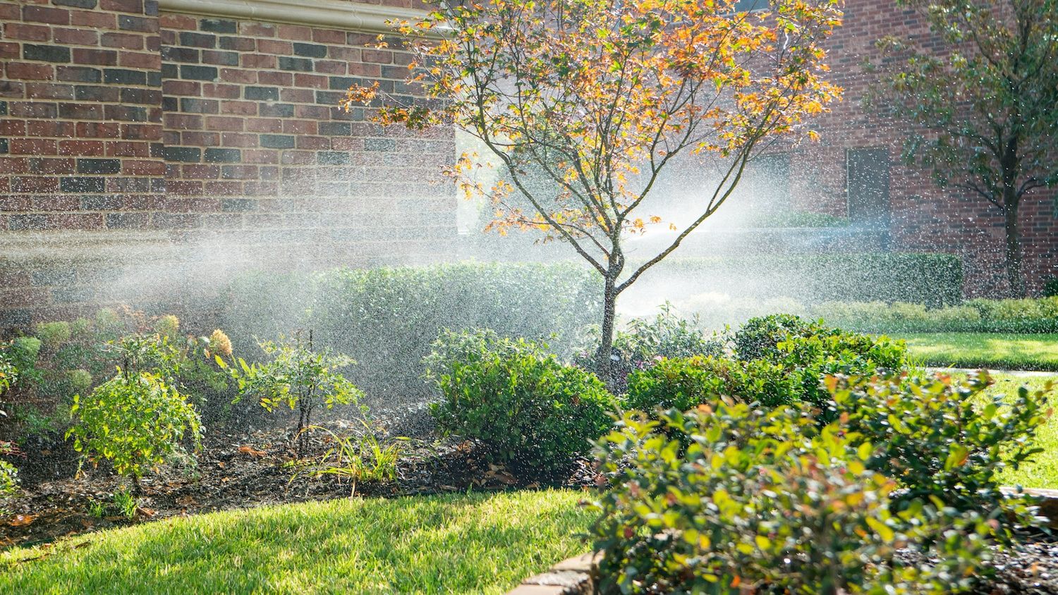 6 Lawn Irrigation System Problems You Might Not Notice