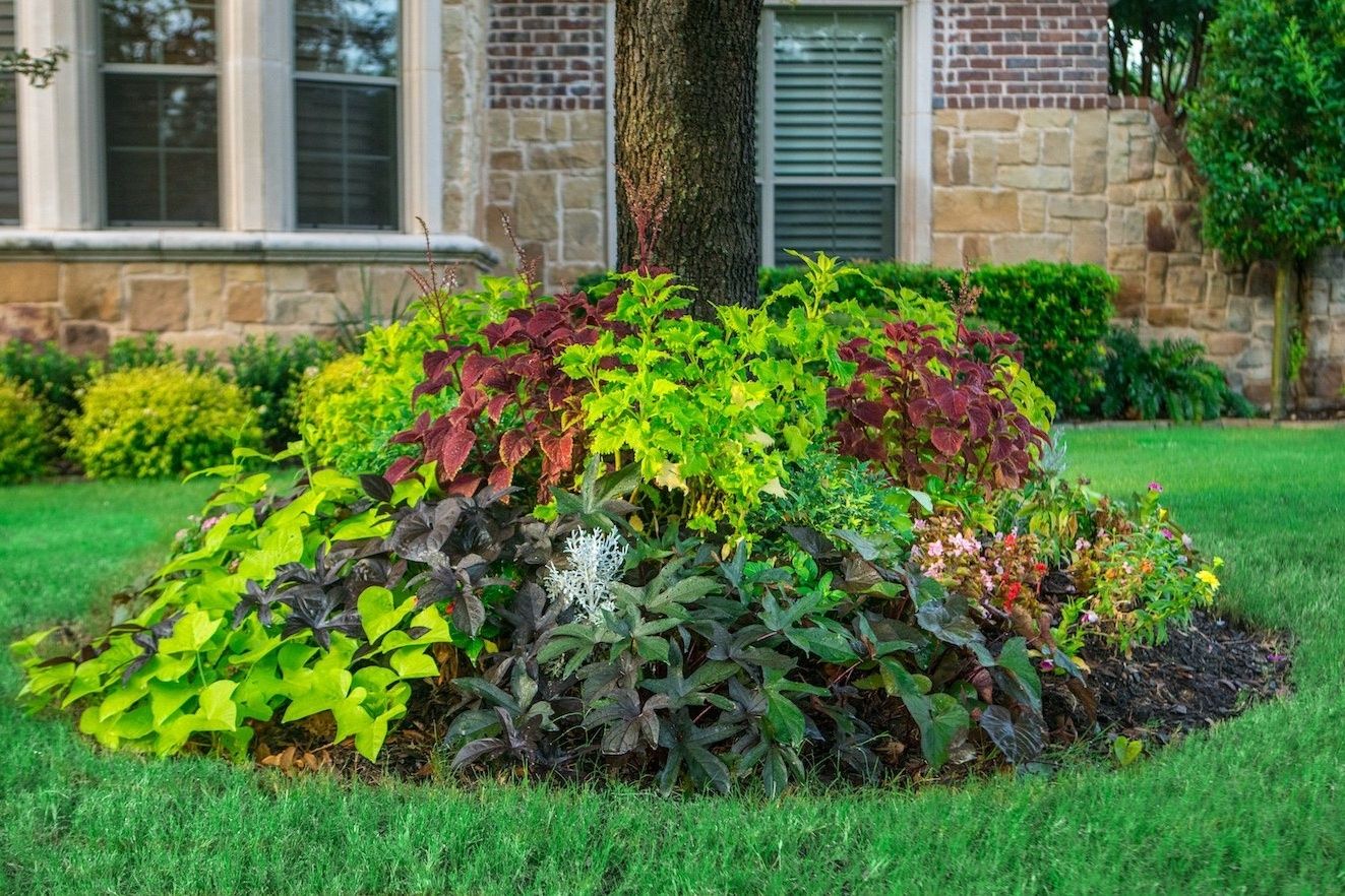 7 Ideas and Tips to Reduce Landscaping Costs at Your Home ...