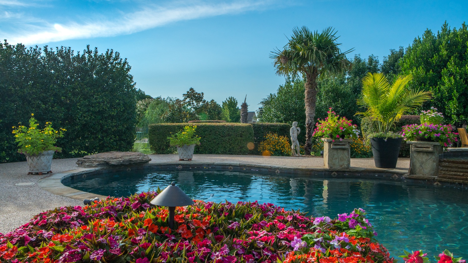 pool-flowers-plants-shrubs-trees