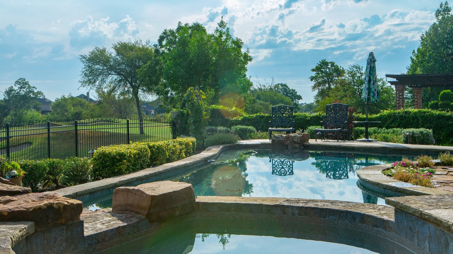 pool-plants-shrubs-stones-3