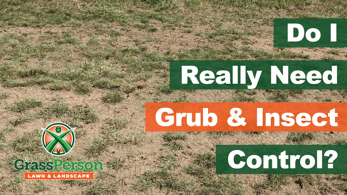 _do i really need grub and insect control._001